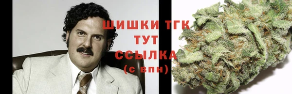 мескалин Богданович