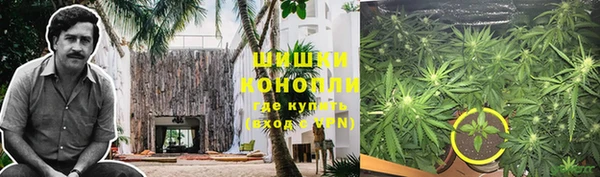 мескалин Богданович