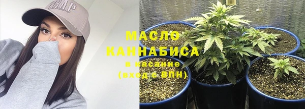 молекула духа Инсар